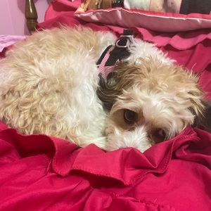 Meet your Posher, Katelyn